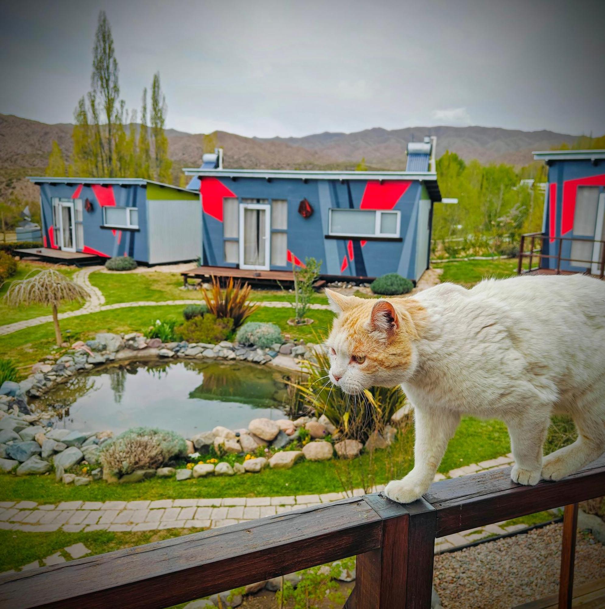 Casa Faro Arte Villa Потрерилос Екстериор снимка